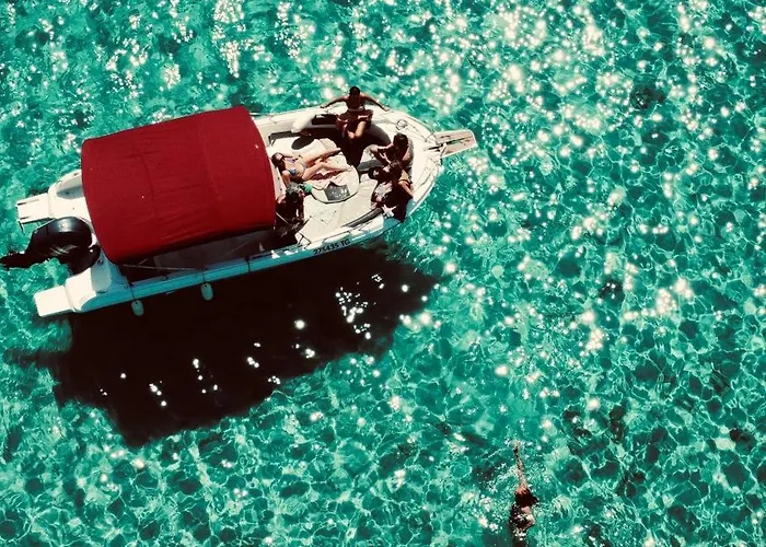 The View 特罗吉尔